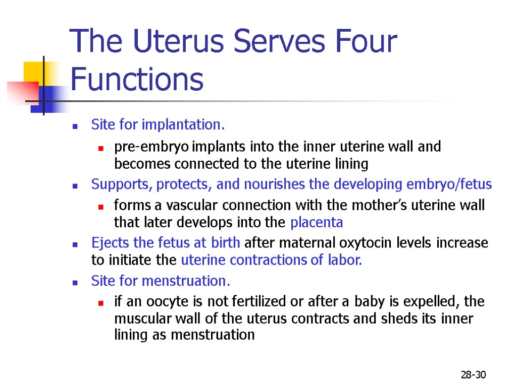 28-30 The Uterus Serves Four Functions Site for implantation. pre-embryo implants into the inner